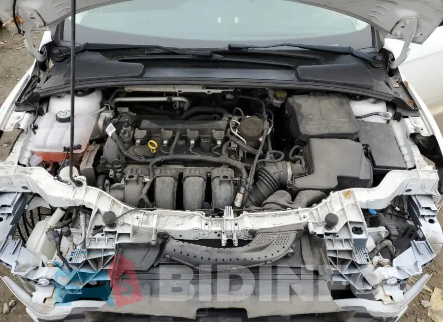1FADP3F29GL255266 Photo# 11