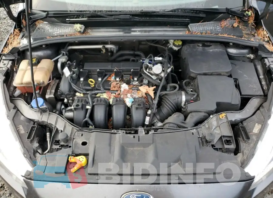 1FADP3K29GL320039 Photo# 11