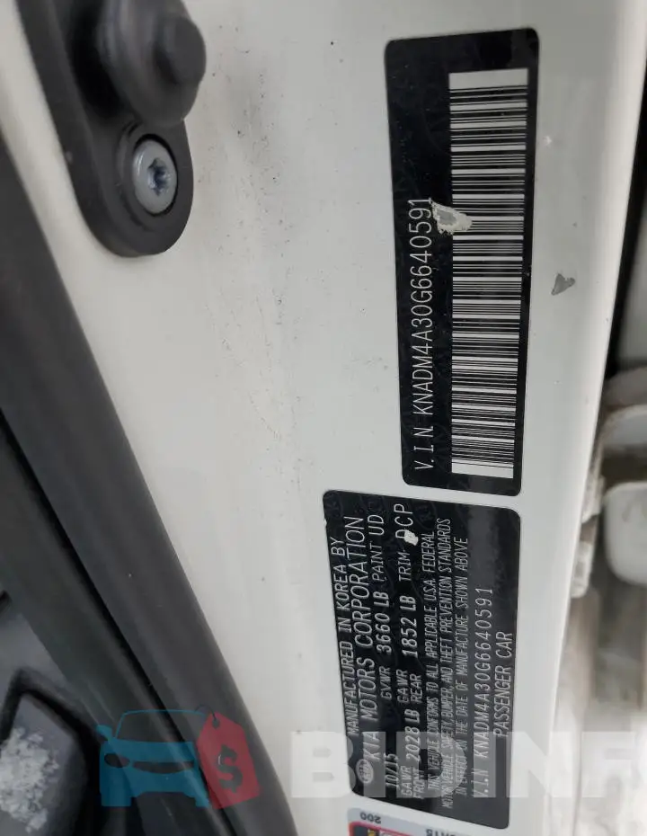 KNADM4A30G6640591 Photo# 12