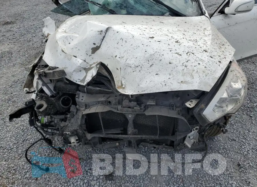 KNALU4D36G6032176 Photo# 11