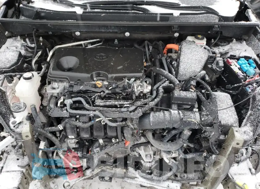 2T3RWRFV1PW170421 Photo# 12
