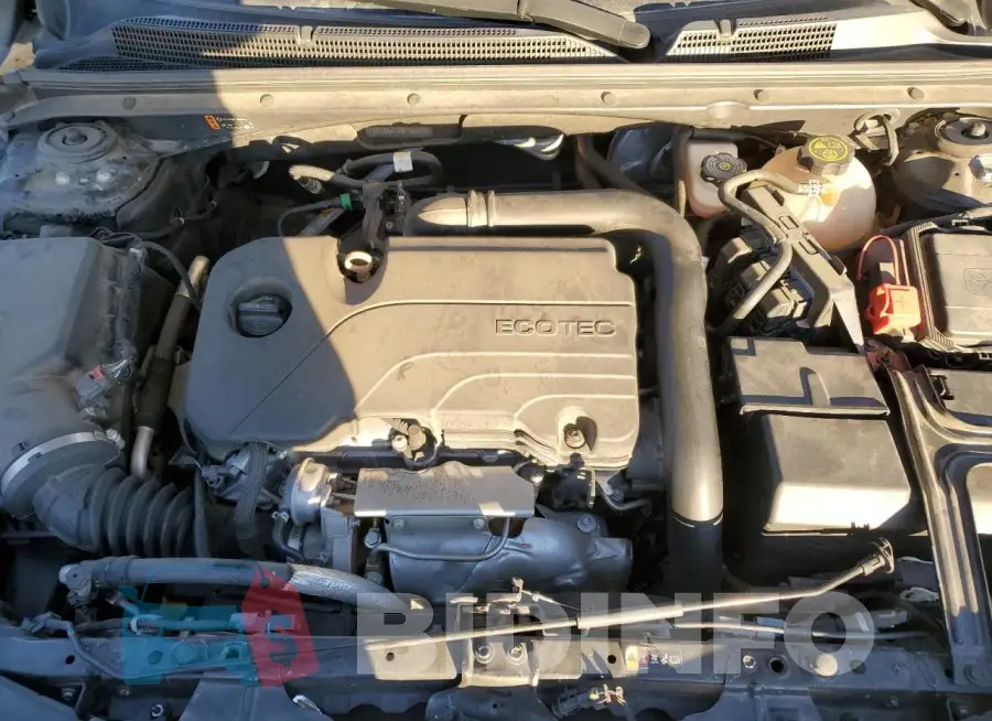 1G1ZD5ST3MF008699 Photo# 11