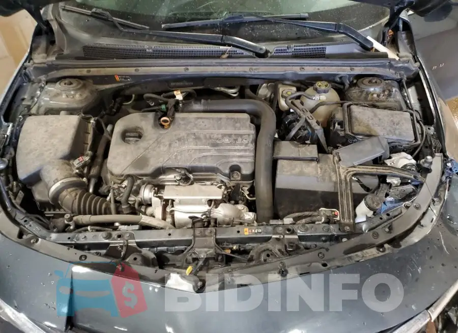 1G1ZD5ST5LF026751 Photo# 11