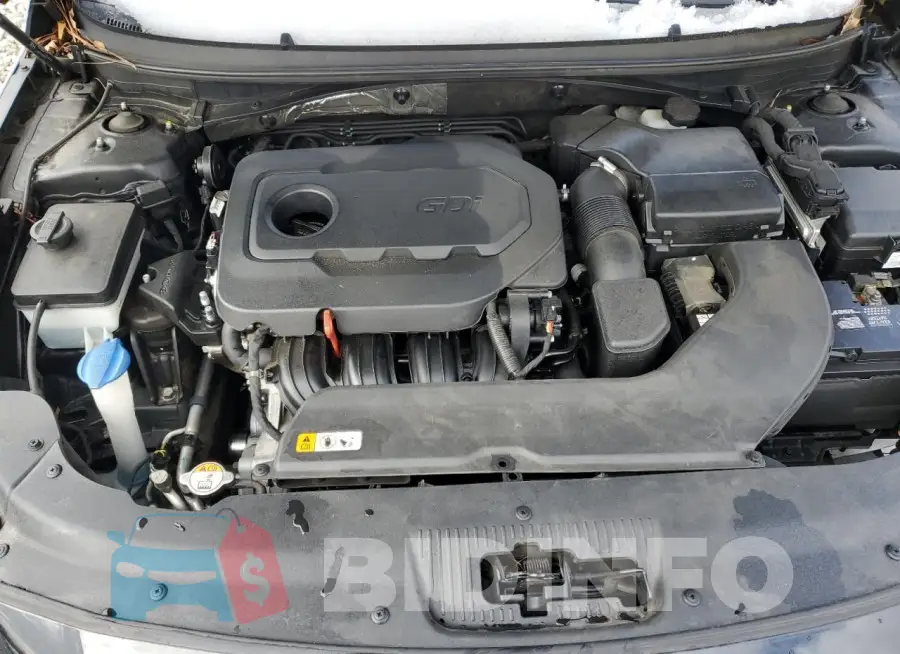 5NPE24AF3GH329041 Photo# 11