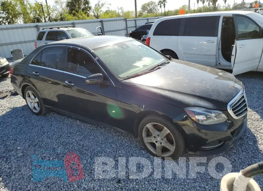 WDDHF8JB7GB245513 Photo# 4