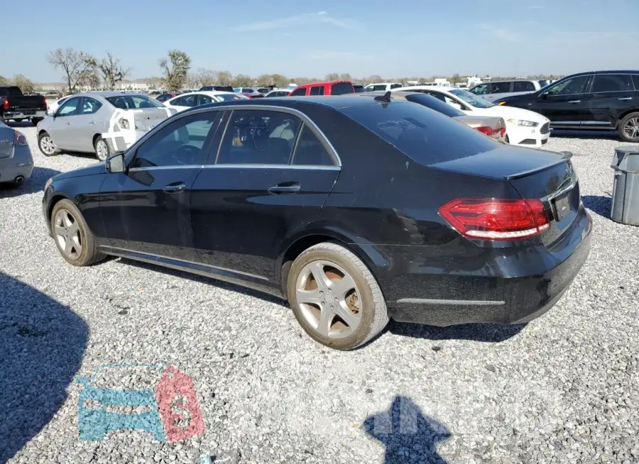 WDDHF8JB7GB245513 Photo# 2