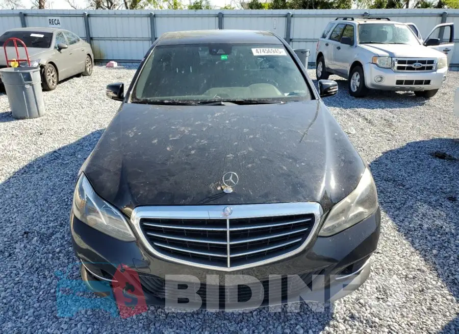 WDDHF8JB7GB245513 Photo# 5