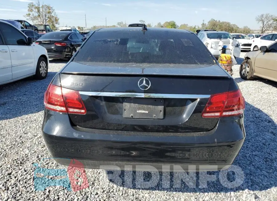 WDDHF8JB7GB245513 Photo# 6
