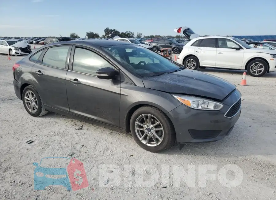 1FADP3F26GL236884 Photo# 4