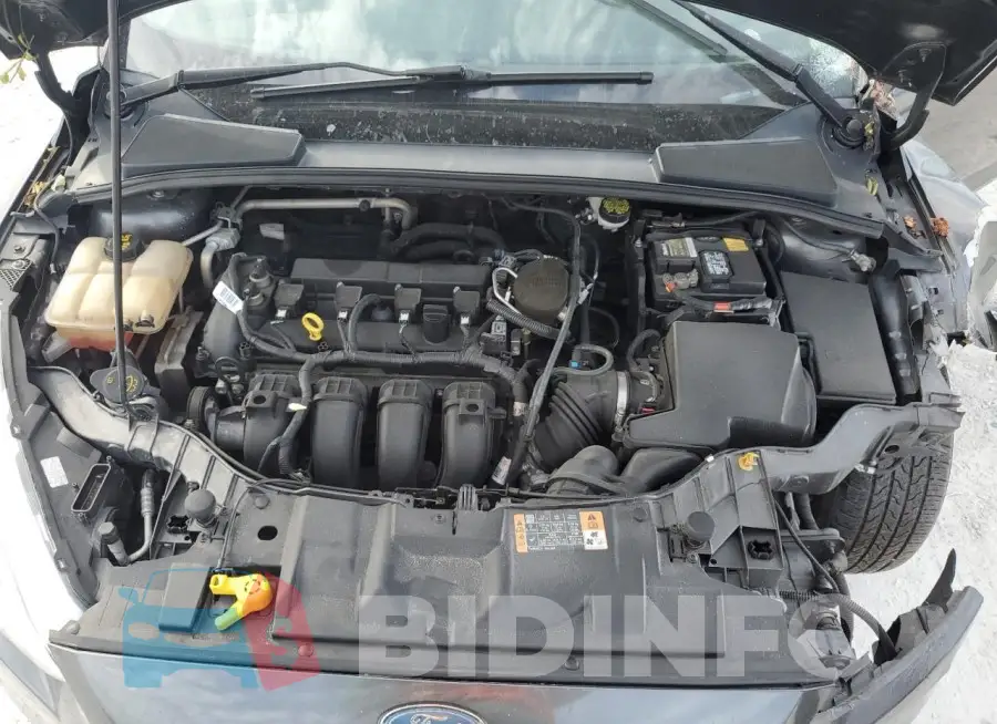1FADP3F26GL236884 Photo# 11