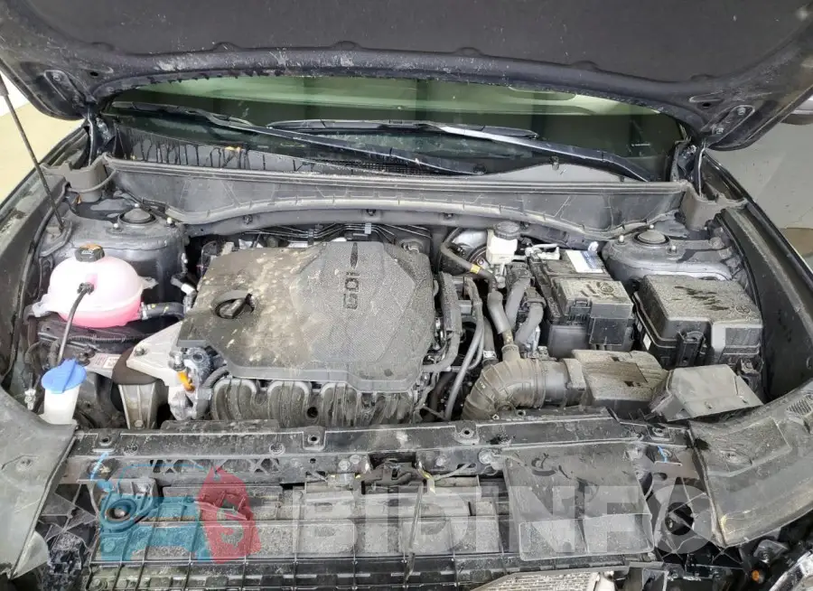 5NMJBCDE9RH345126 Photo# 12
