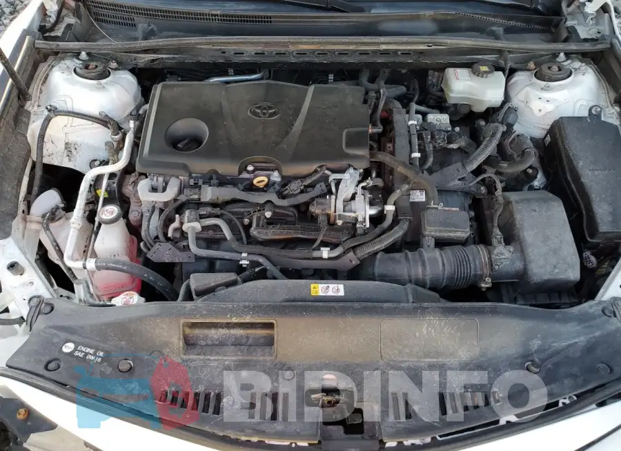 4T1C31AK7LU526287 Photo# 11