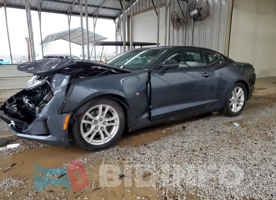 1G1FB1RX8M0113378 Photo# 1