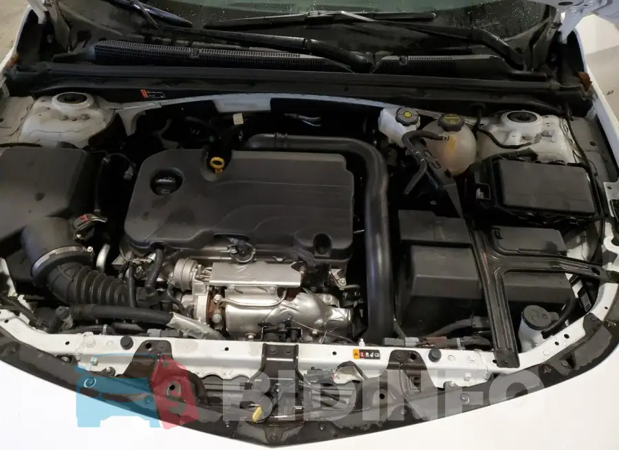 1G1ZD5ST9RF195647 Photo# 11