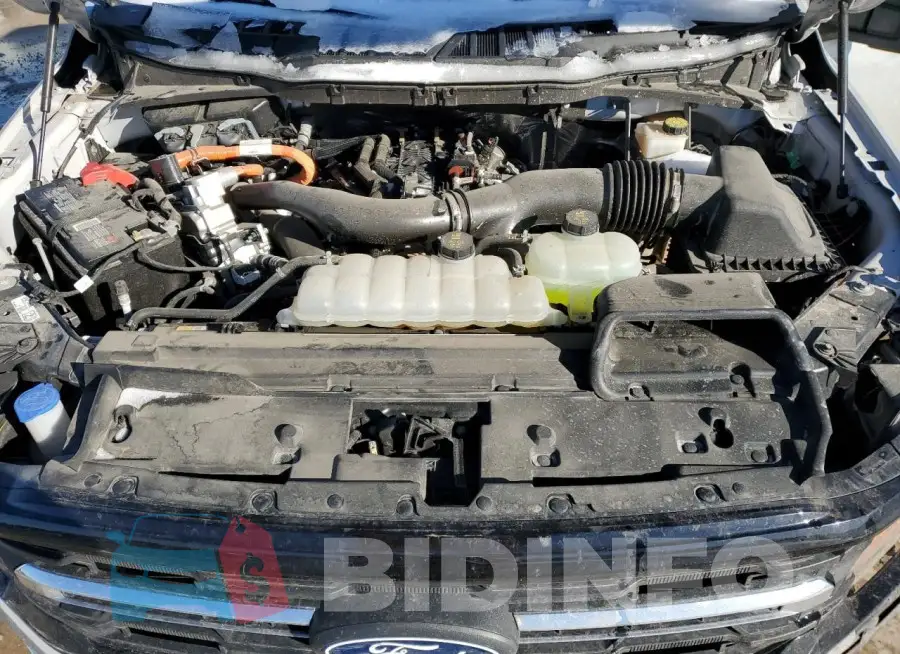 1FTFW3LD4RFA07746 Photo# 11