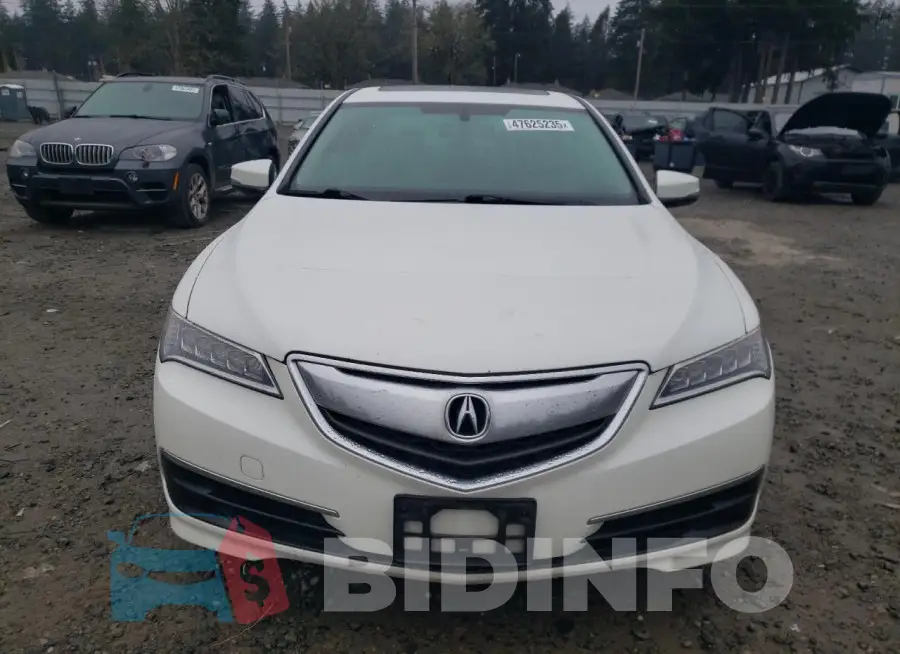 19UUB1F32GA004320 Photo# 5