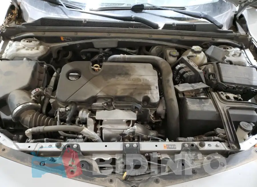 1G1ZB5ST5HF190868 Photo# 11