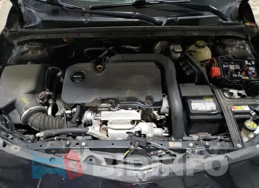 1G1ZB5STXHF185178 Photo# 11