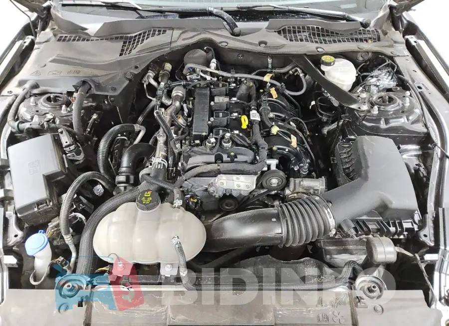1FATP8UH5P5103991 Photo# 12