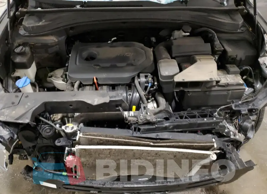 5NMS5CAD5LH149344 Photo# 12