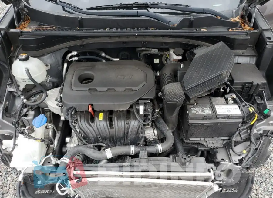 KNDPN3AC8K7492345 Photo# 12