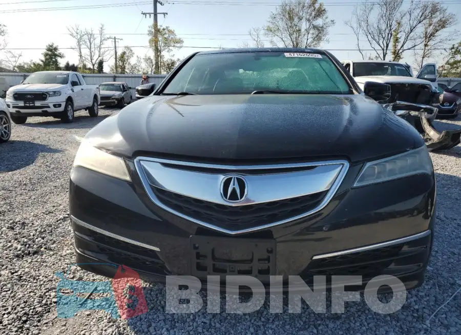 19UUB1F36GA010265 Photo# 5