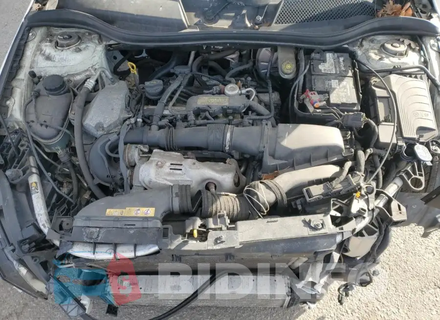 WDDSJ4GB6GN293295 Photo# 11