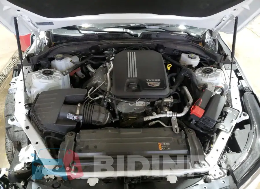 1G6DA5RK1R0132085 Photo# 11