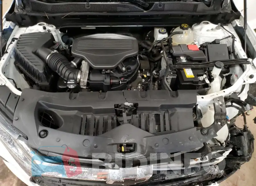 3GNKBHRS4LS552787 Photo# 12