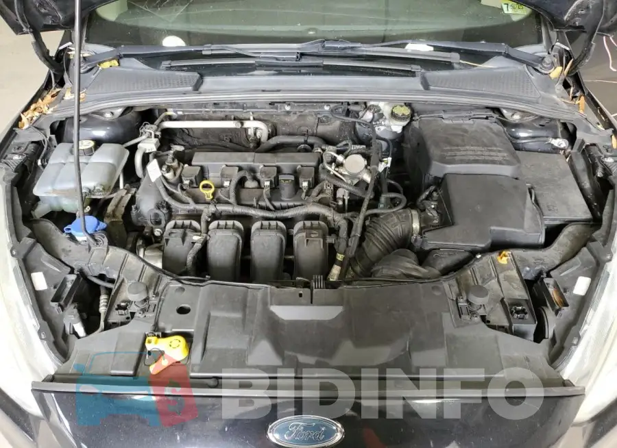 1FADP3F20GL368300 Photo# 11