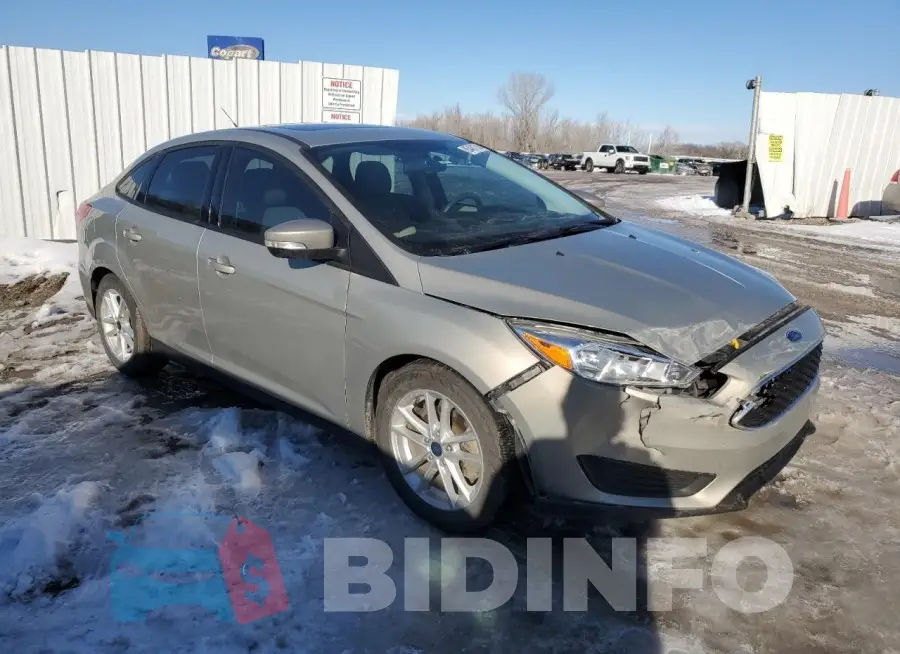 1FADP3F26GL310191 Photo# 4