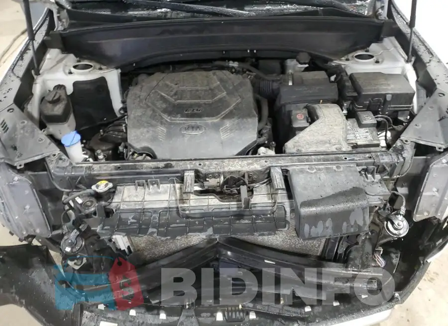 5XYP2DHC5MG163533 Photo# 12