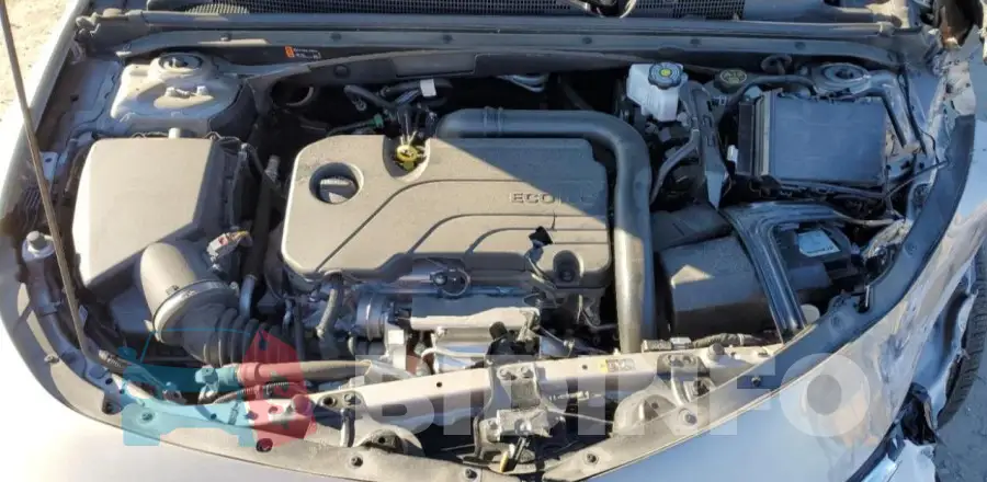 1G1ZD5ST1PF252016 Photo# 11