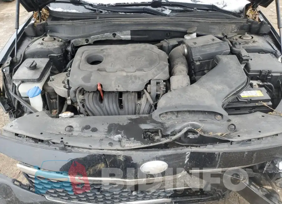 5XXGT4L33JG243191 Photo# 11
