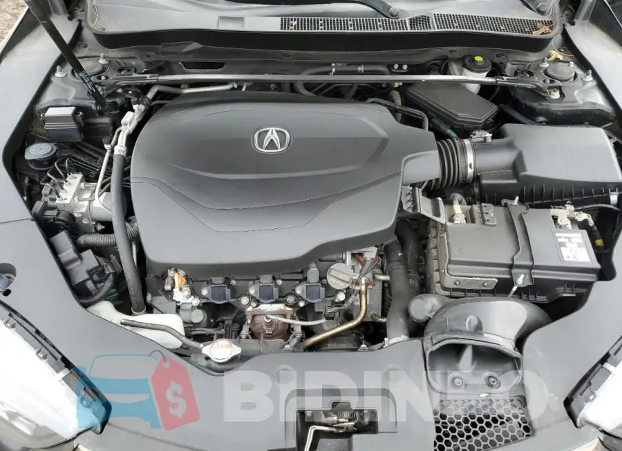 19UUB2F67KA008467 Photo# 11