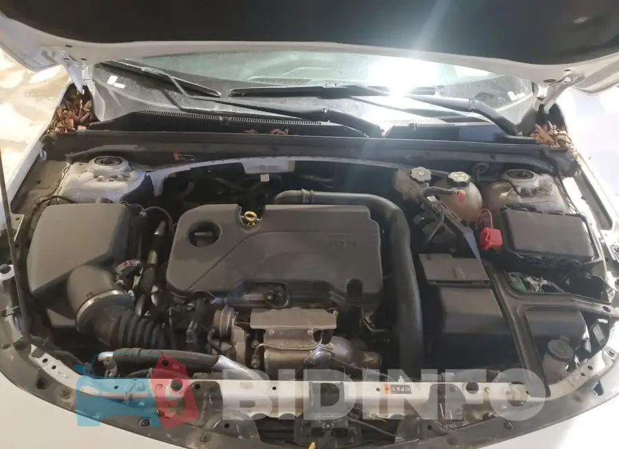 1G1ZD5ST5PF141193 Photo# 11