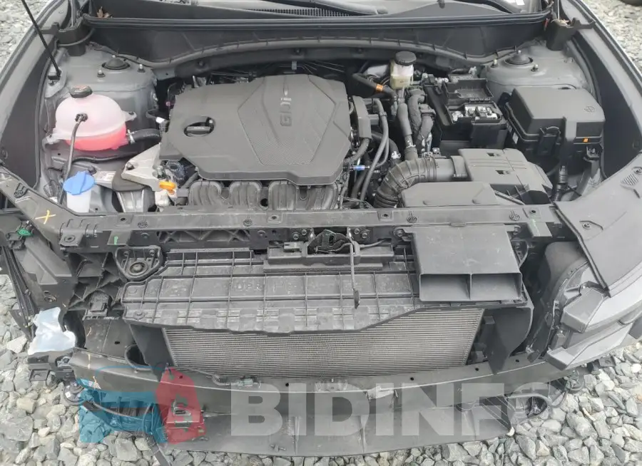 5NMJBCDE6SH467643 Photo# 12