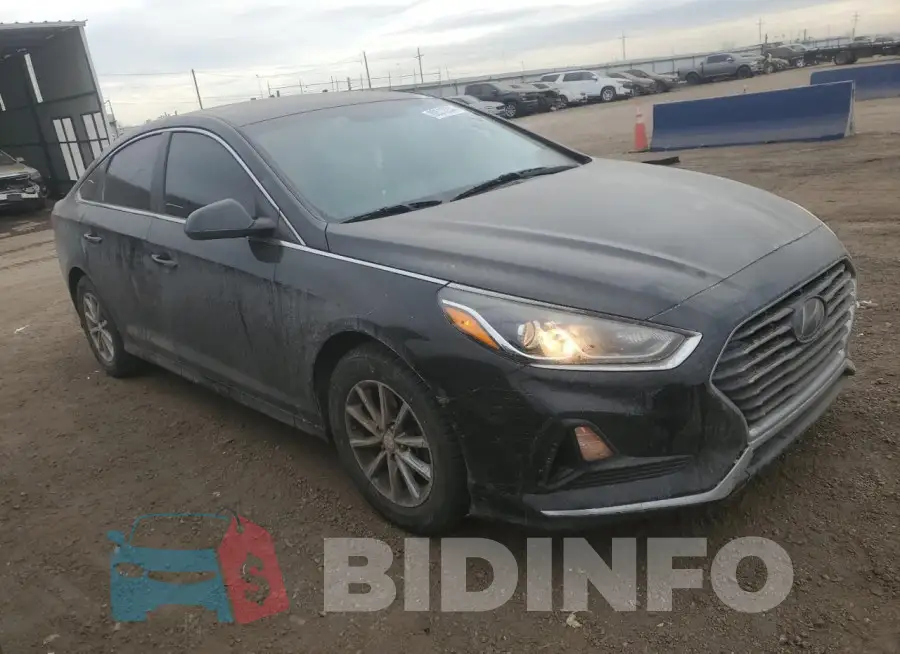 5NPE24AF9KH753848 Photo# 4