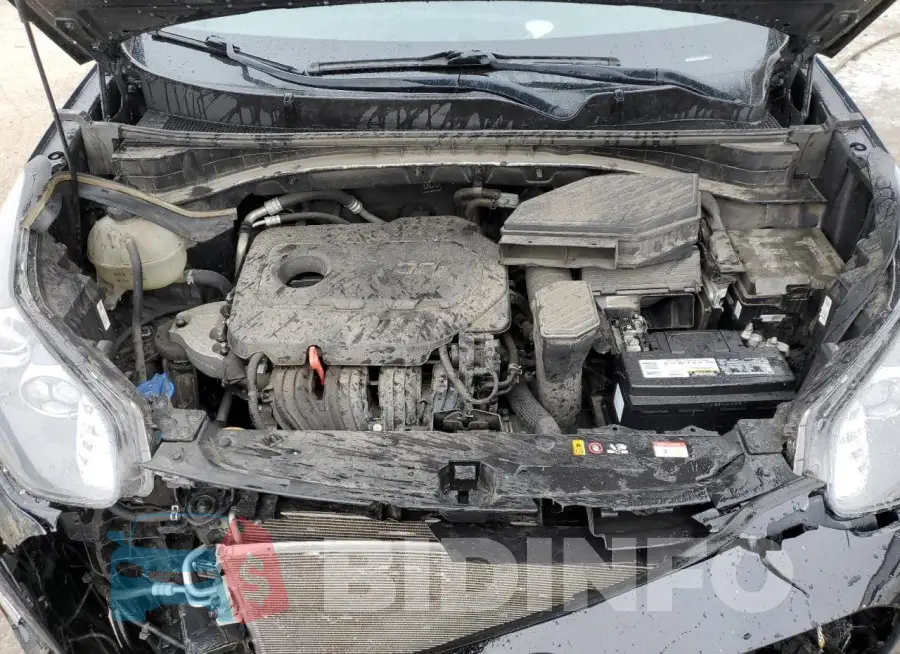 KNDPN3AC8L7829212 Photo# 12