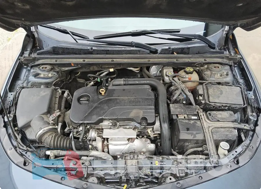 1G1ZD5ST7KF106616 Photo# 11