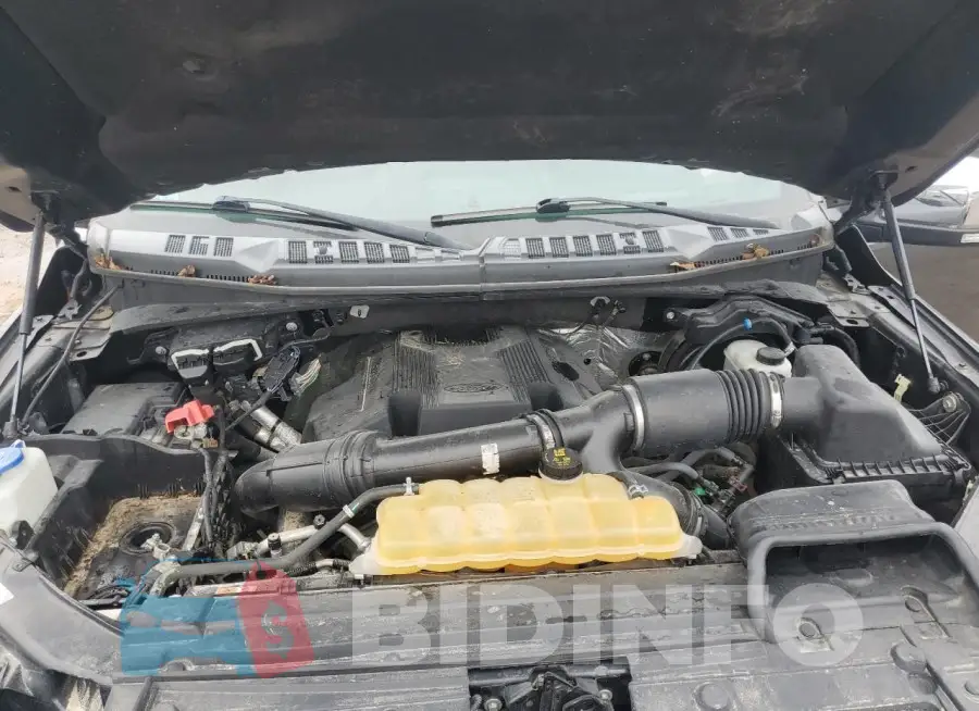 1FTEW1EG5HFB99202 Photo# 11