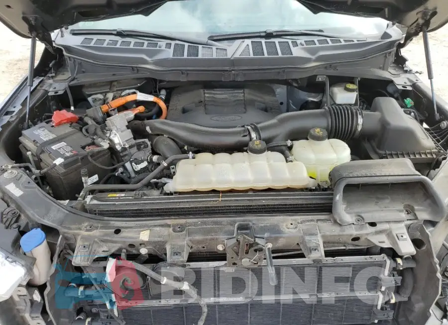 1FTFW1CD1MFB42051 Photo# 12