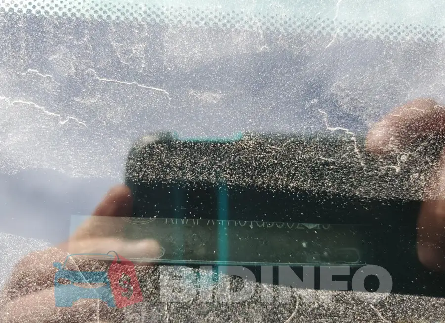KNAFX4A61G5502915 Photo# 13