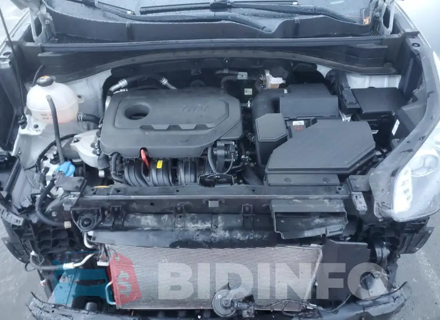 KNDPN3AC7M7926502 Photo# 12