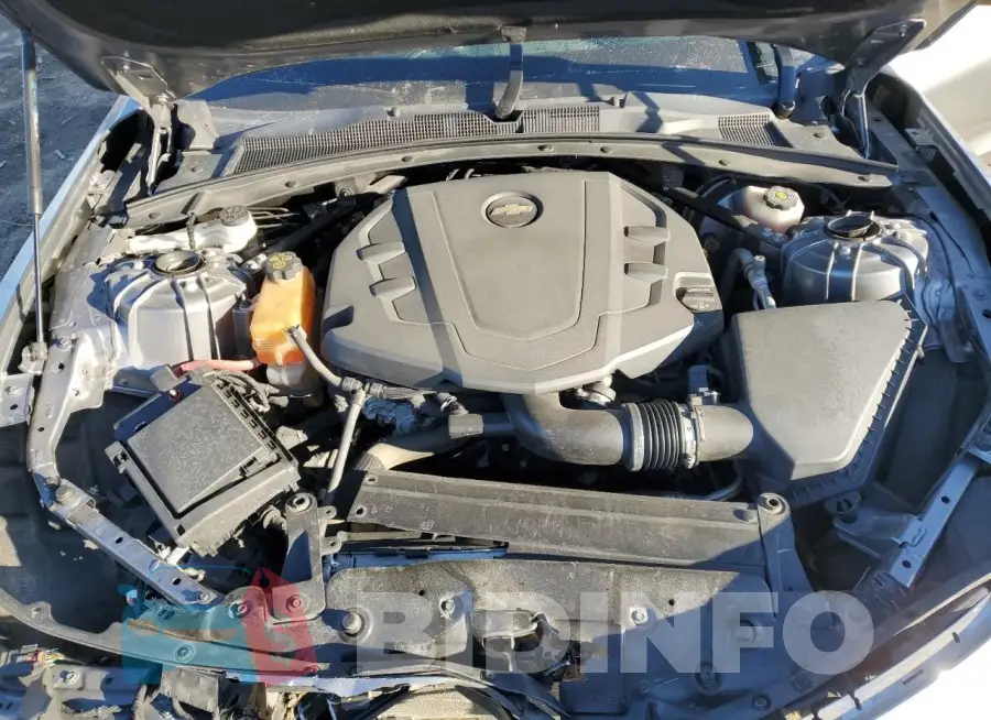 1G1FB1RS5M0121796 Photo# 11