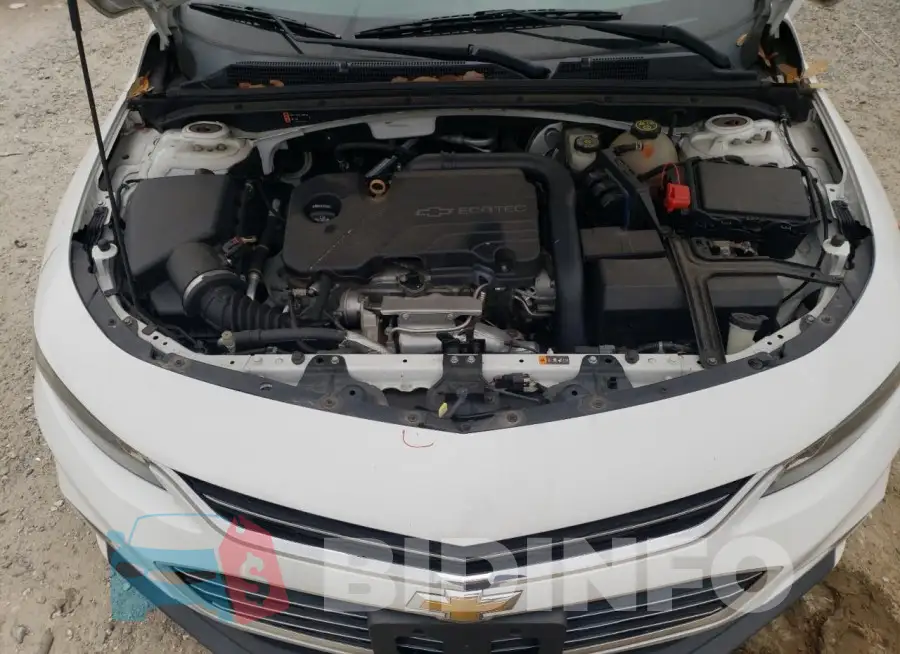 1G1ZB5ST6HF145258 Photo# 11