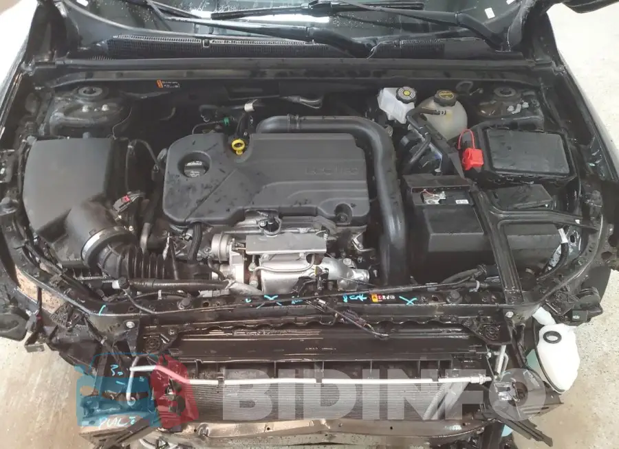 1G1ZD5ST6RF251429 Photo# 11