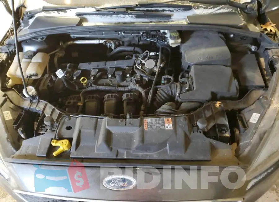 1FADP3H29HL213811 Photo# 11