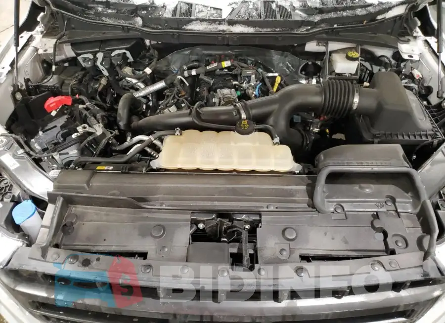 1FTEW1EPXPFB35512 Photo# 11