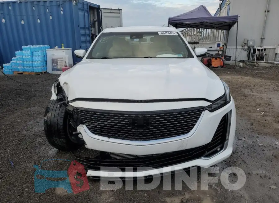 1G6DM5RK9L0126887 Photo# 5
